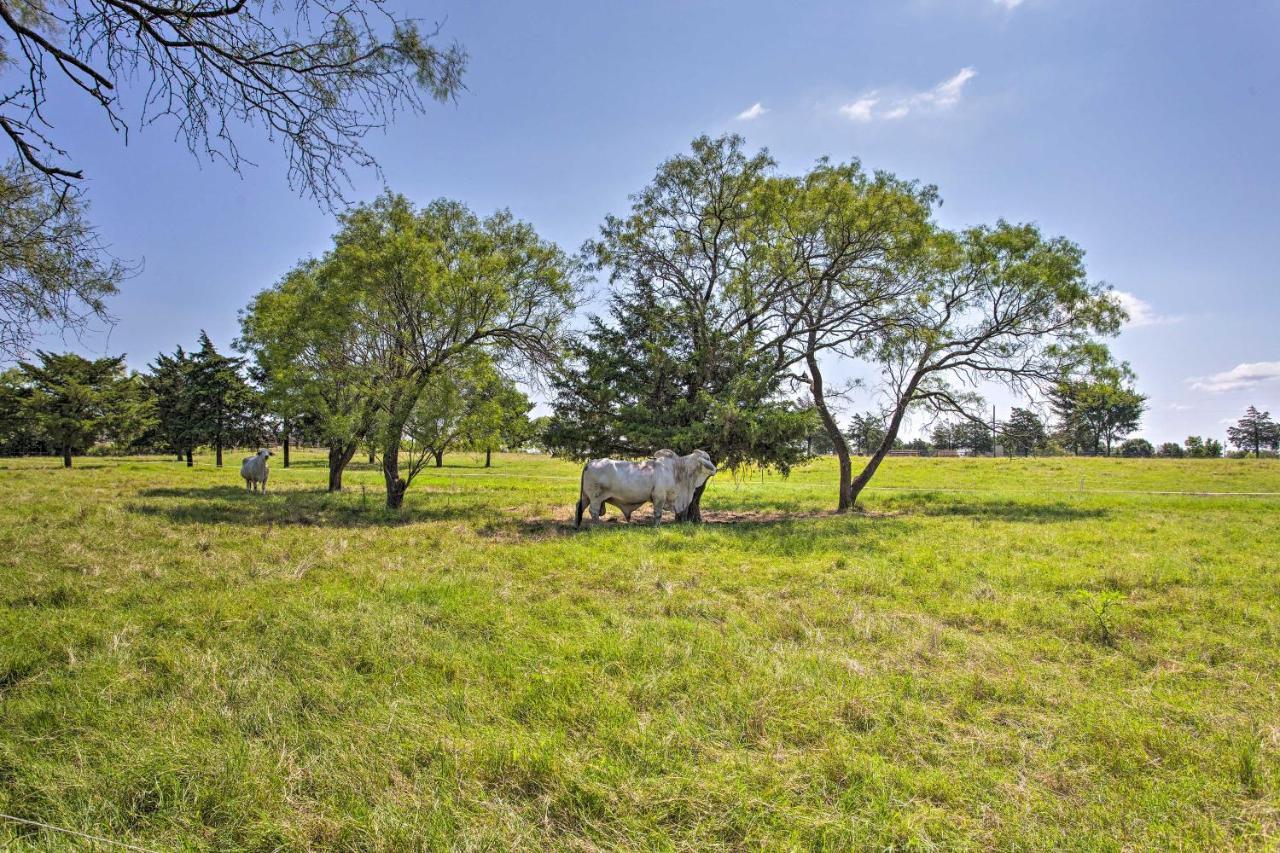 Texas Cabin On 130 Acres Walk To Lake Ray Roberts Collinsville Buitenkant foto